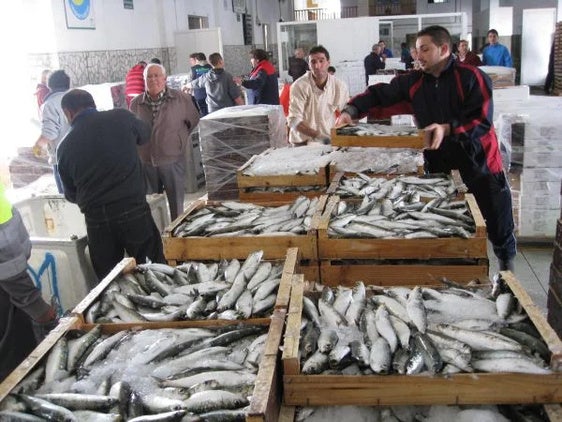 Herminia deja a Almería sin pescado fresco durante dos días