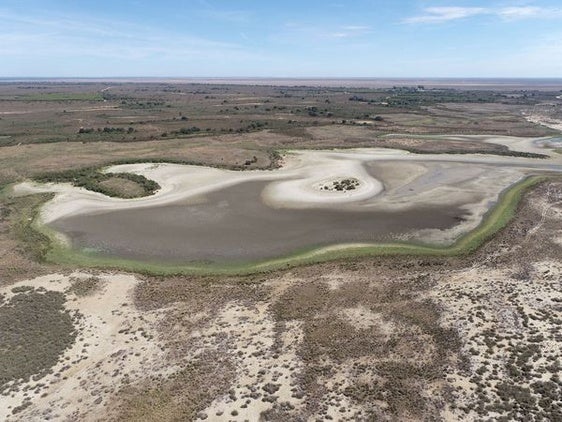 Imagen sin agua de la laguna de Santa Olalla en Doñana en la época estival.