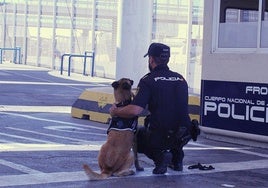 Agreden a dos policías en el Centro de Extranjeros cuando desembarcaban de una patera