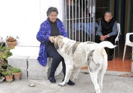 La vida en El Collado de Murtas.