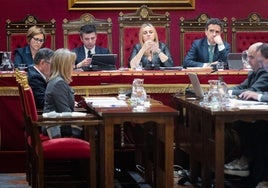 Pleno en el Ayuntamiento de Granada este viernes.