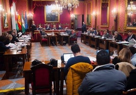 Sesión plenaria del Ayuntamiento de Granada este viernes.