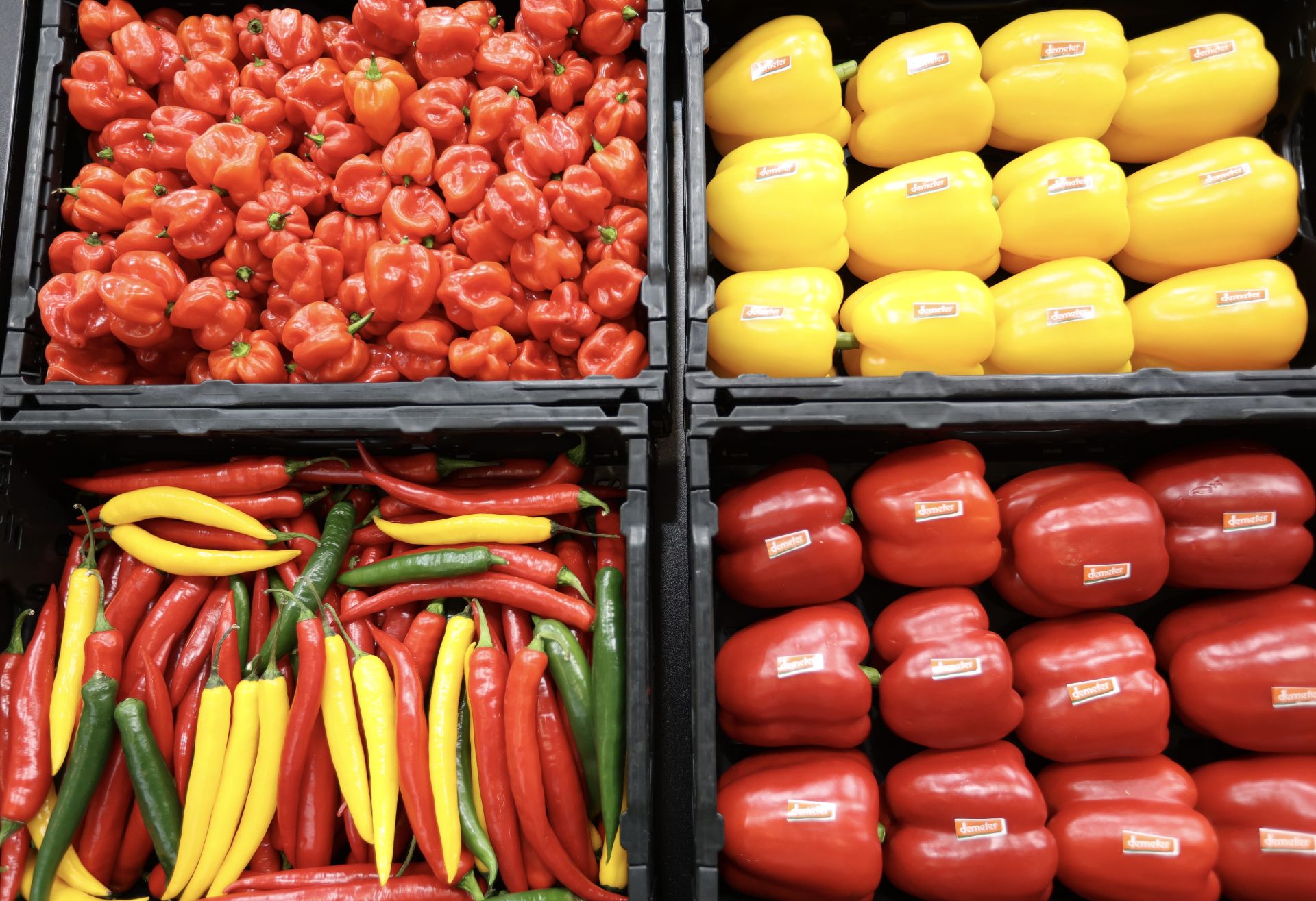 El inicio de Fruit Logistica 2025, en imágenes