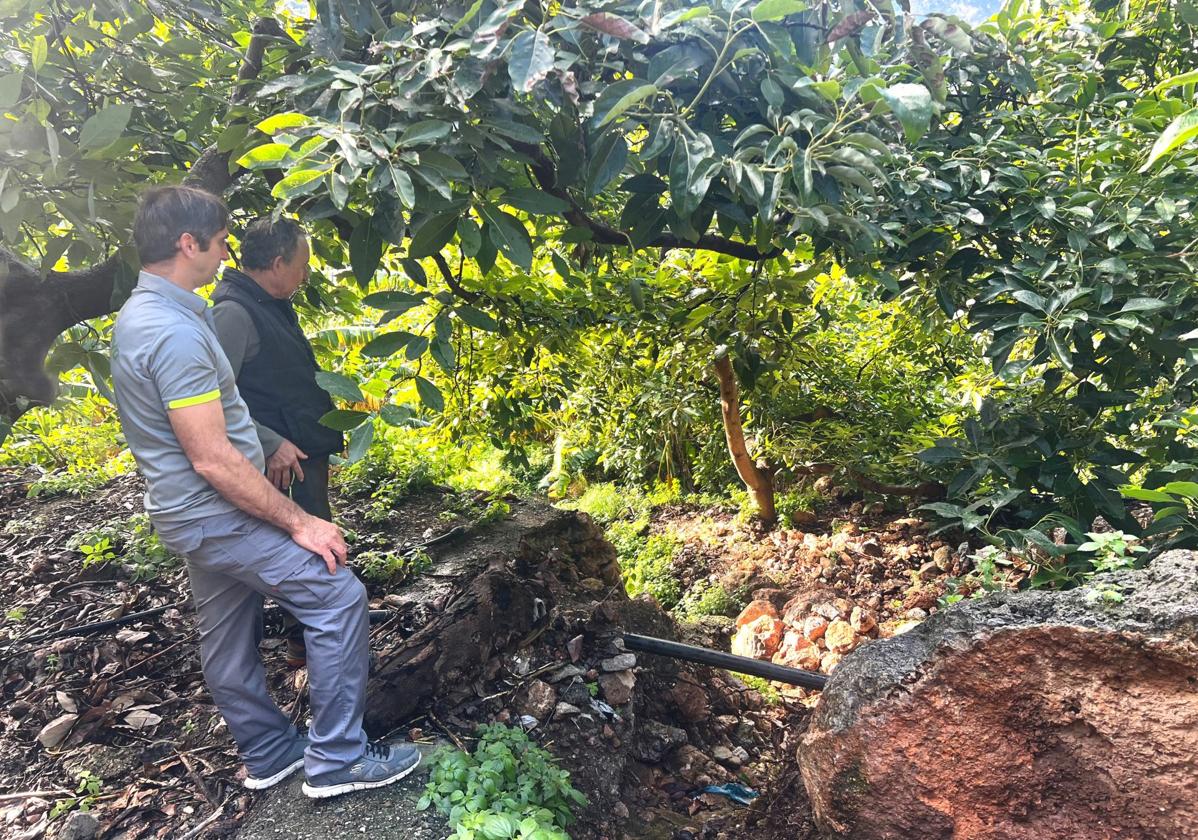 Daños en los caminos de las fincas de los agricultores de Otívar.