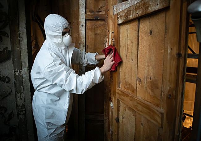 Saneando la parte trasera del retablo.