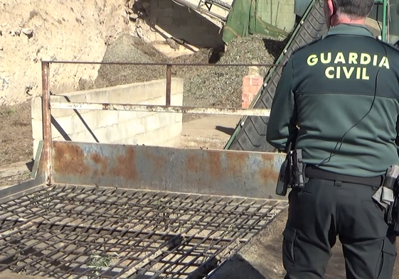 Guardia Civil interviene aceituna robada en Pinos Puente.