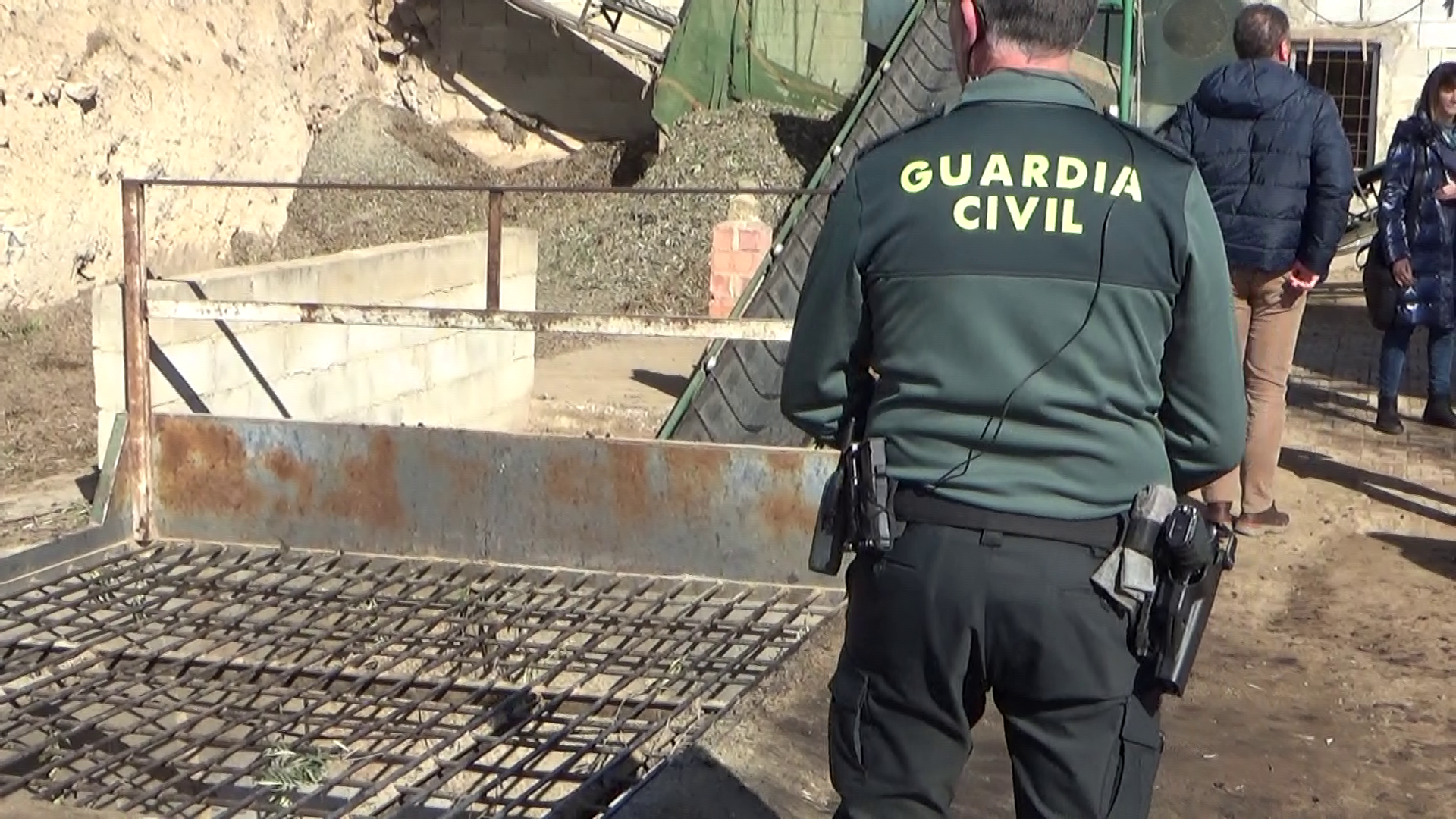 Guardia Civil interviene aceituna robada en Pinos Puente.