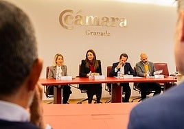 Elena Martínez de Andersen y Raúl Berdonés, presidente de Secuoya , entre Isabel Contreras y Luis Nebot, de Cámara Granada.