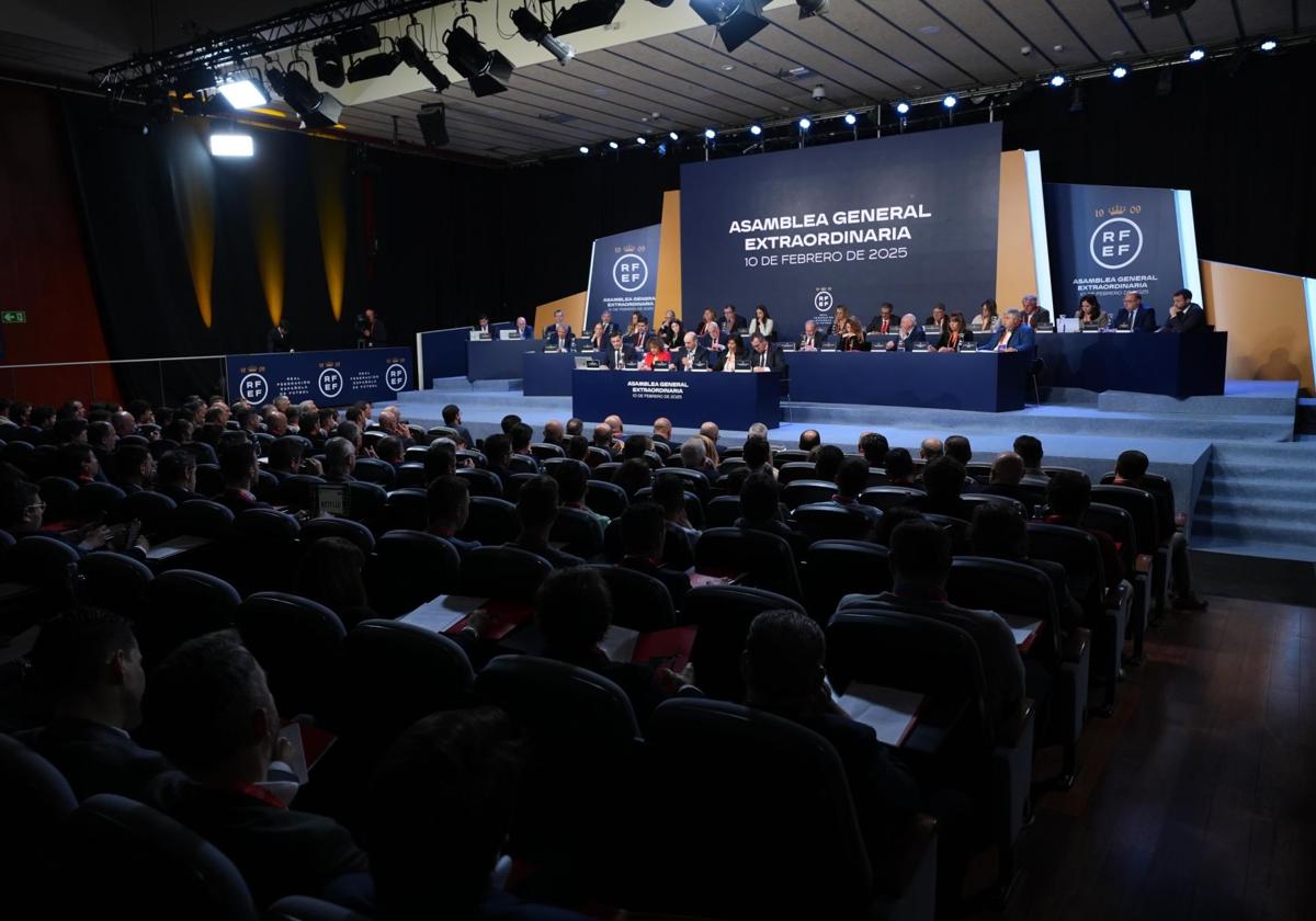 Un instante de la asamblea general celebrada en Madrid.