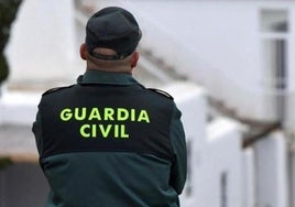 Detenido un ladrón trece veces en doce meses en Órgiva