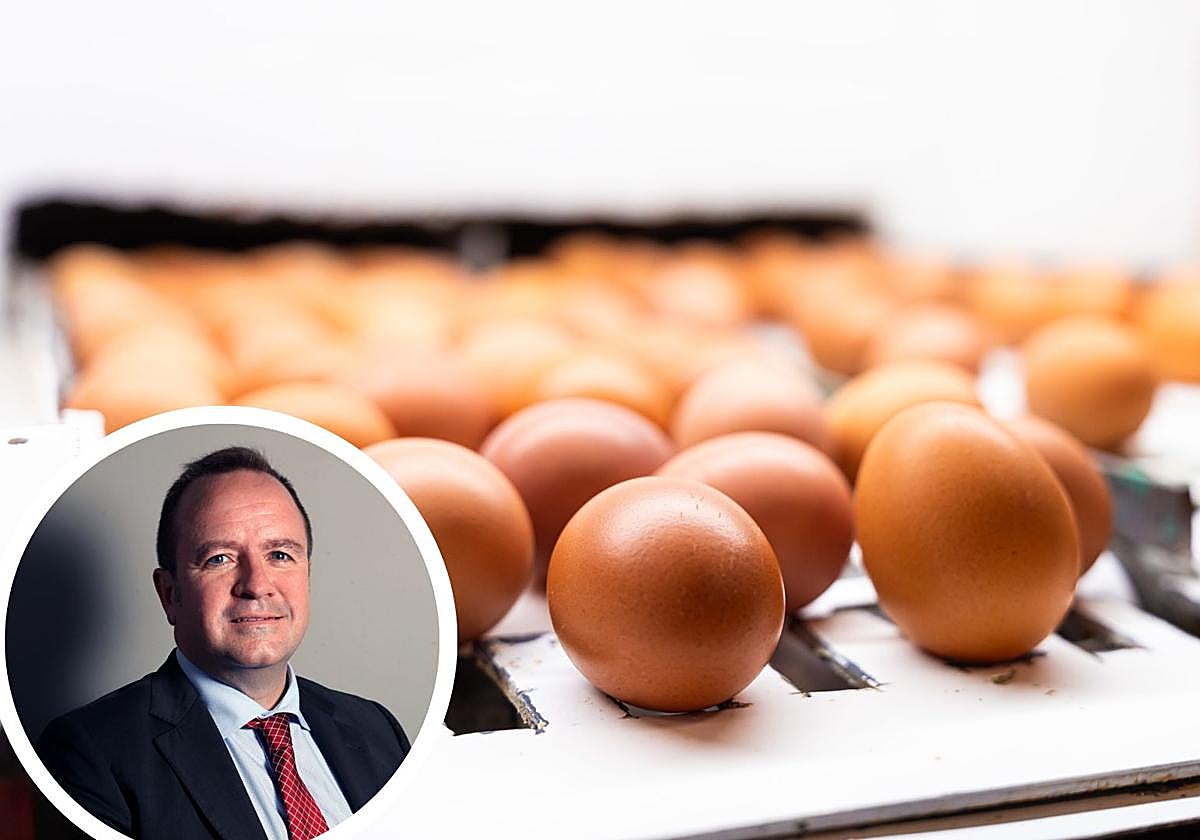 Pablo Catalá Gregori, gerente de CECAV.