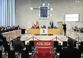 Pleno del Ayuntamiento de Almería.