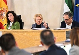 Eloísa Cabrera, en el Salón de Plenos.