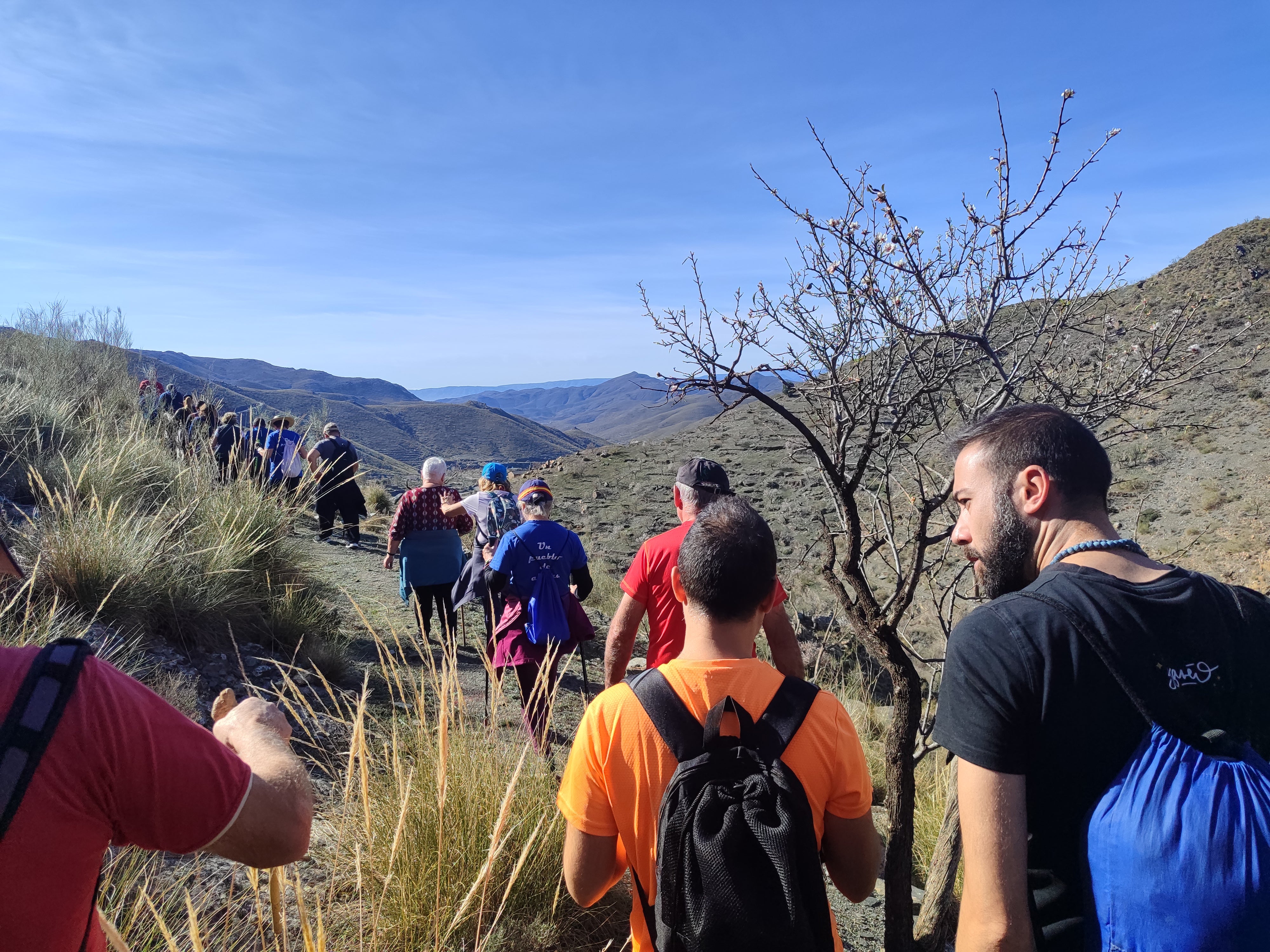 Velefique disfruta en familia de la ruta de almendros en flor