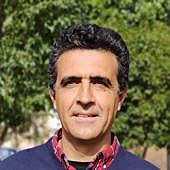 Imagen - «Las encinas son tolerantes a la sombra, pero pueden crecer a pleno sol»