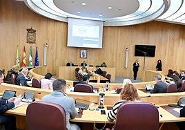 Pleno ordinario del mes de febrero.