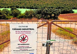Valla de acceso a la finca de Escúzar precintada por la Guardia Civil.