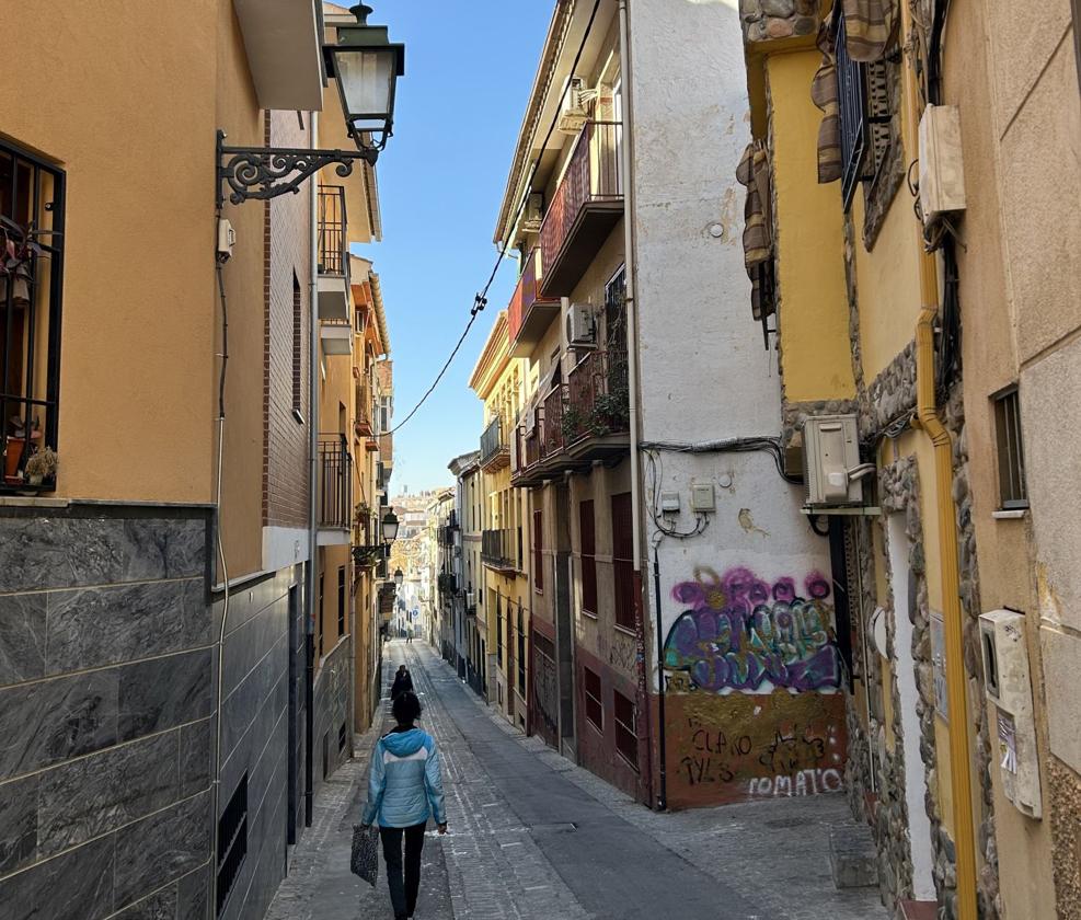 El hombre desnudo trató de asaltar otro piso en Real de Cartuja pero la familia lo impidió