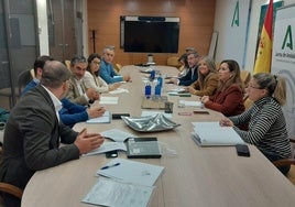 Reunión de representantes municipales con los delegados de Fomento y Salud.
