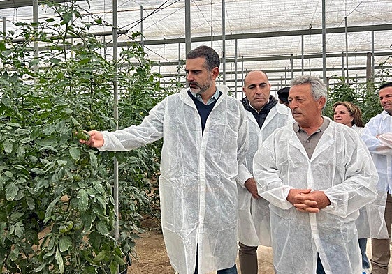 Las exportaciones agroalimentarias baten cifras récord con 15.700 millones de euros en Andalucía