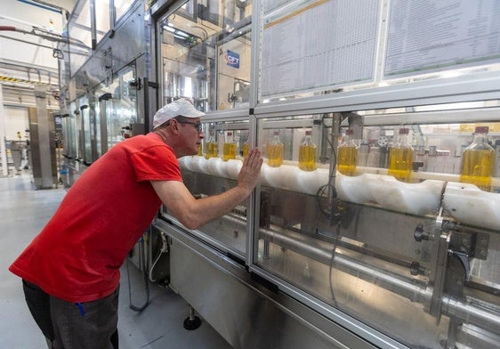 Envasado de aceite de oliva en la planta de Maeva, en la Citai de Escúzar.