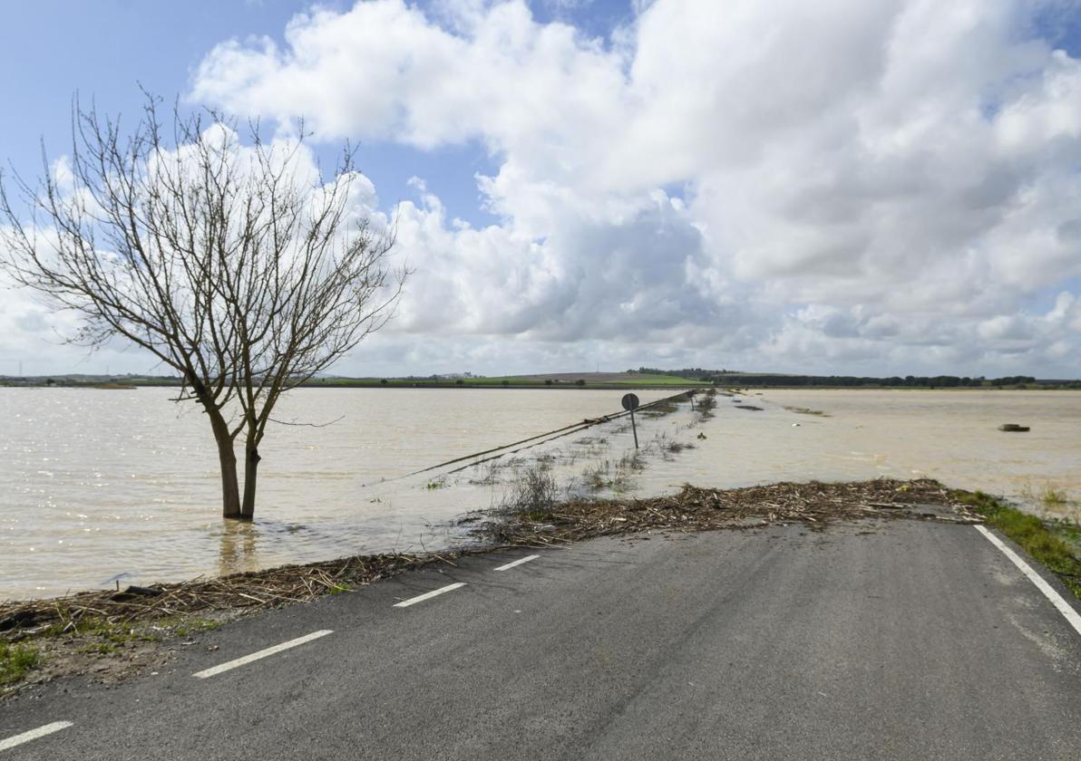 Estas 16 carreteras de Andalucía están cerradas al tráfico por inundaciones