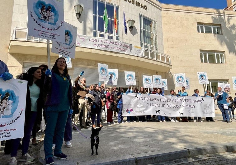 Protesta de veterinarios ante la Subdelegación.