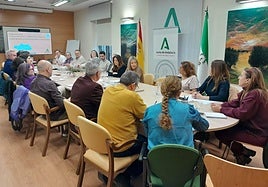 Reunión para la constitución de la comisión provincial de la Estrategia de Promoción de una Vida Saludable en Jaén.