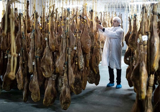 7.000 jamones, inmovilizados en el interior de la industria cárnica.