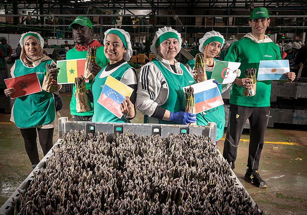 Trabajadores de distintas nacionalidades posan para IDEAL con la bandera de su país de origen en la cooperativa Los Gallombares de Loja.