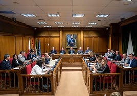 Pleno de la Diputación de Almería.