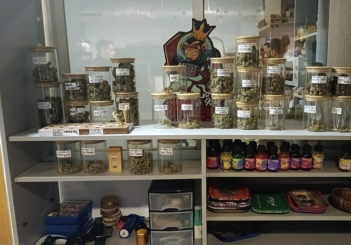 Cogollos de marihuana incautados.