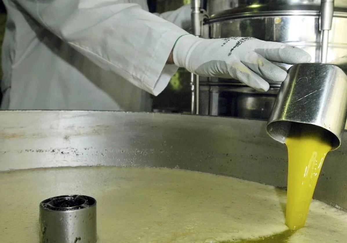 Vendido la mitad del aceite de oliva de la campaña con precios «de ruina» | ideal