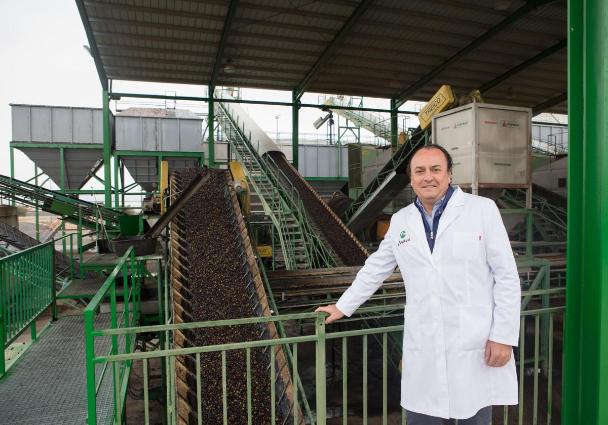 «para el aceite no se va a acabar el mundo» | ideal