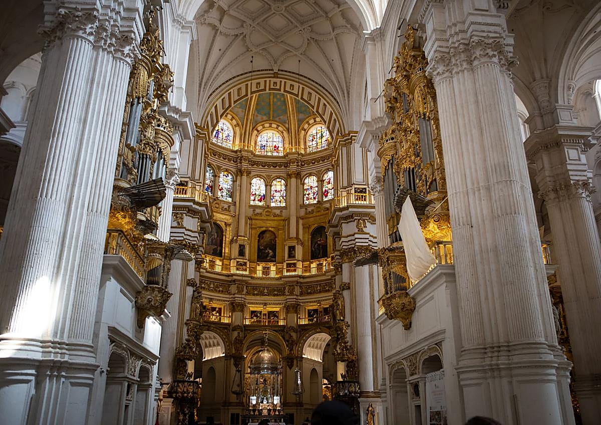 Imagen secundaria 1 - Dorado. 