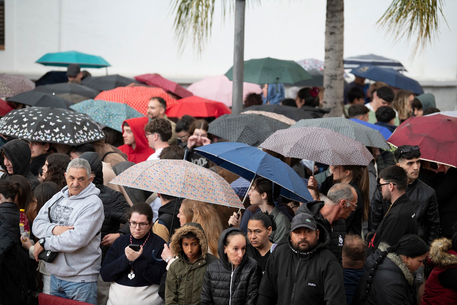 El Martes Santo en Motril, en imágenes