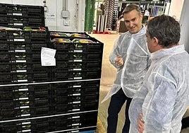 Empleo respalda a la economía social con cuatro líneas de ayudas que movilizan 3,9 millones