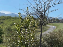 Gójar diseña 28 kilómetros de senderos para descubrir sus paisajes y patrimonio