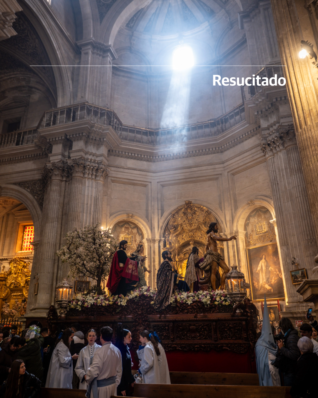 La foto más íntima de las 34 cofradías de Granada en Semana Santa