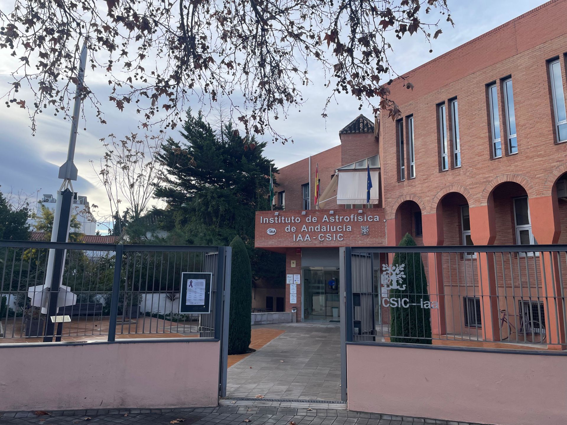«ahora mismo el instituto está en un momento extraordinario a nivel humano y de investigación» | ideal