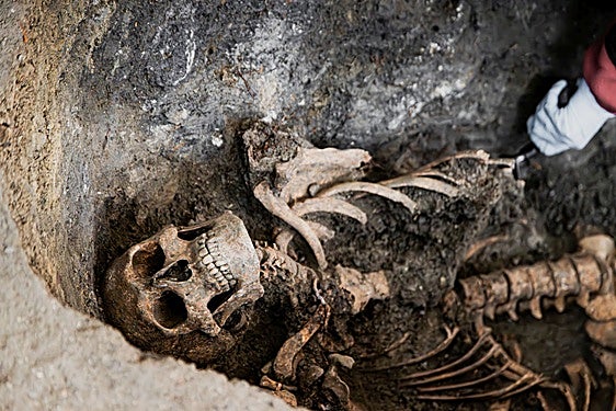 Restos de la víctima.