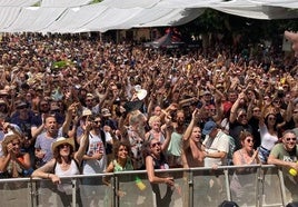 Público asistente a un concierto en la Plaza Vieja