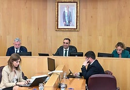 Pleno de la Diputación de Granada del mes de abril.