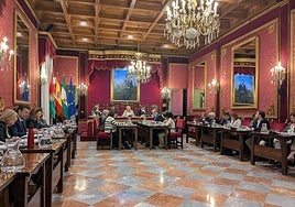 Pleno municipal celebrado este viernes.