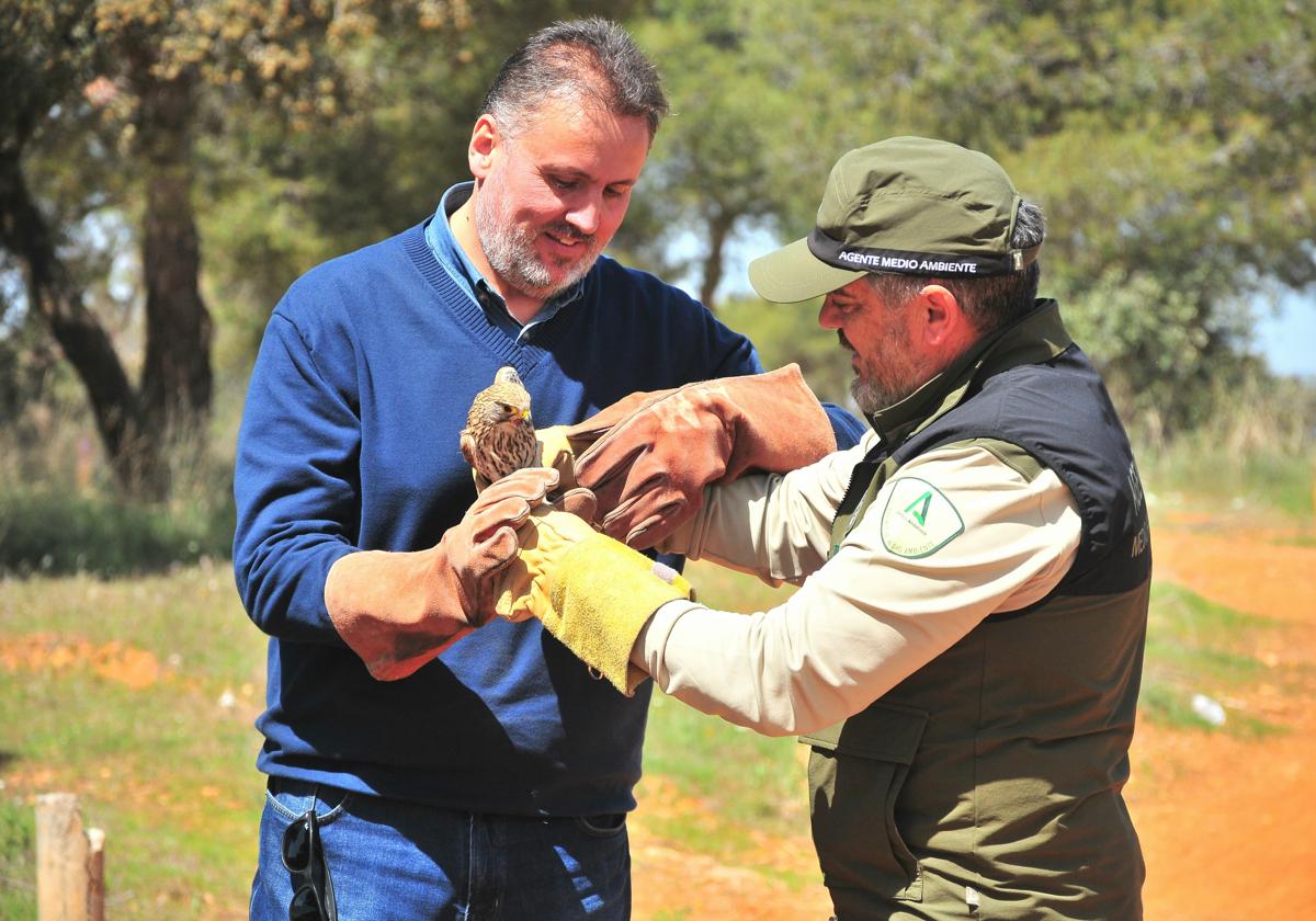 La junta de andalucía atiende a más de un millar de ejemplares en el crea de granada durante 2024 | ideal