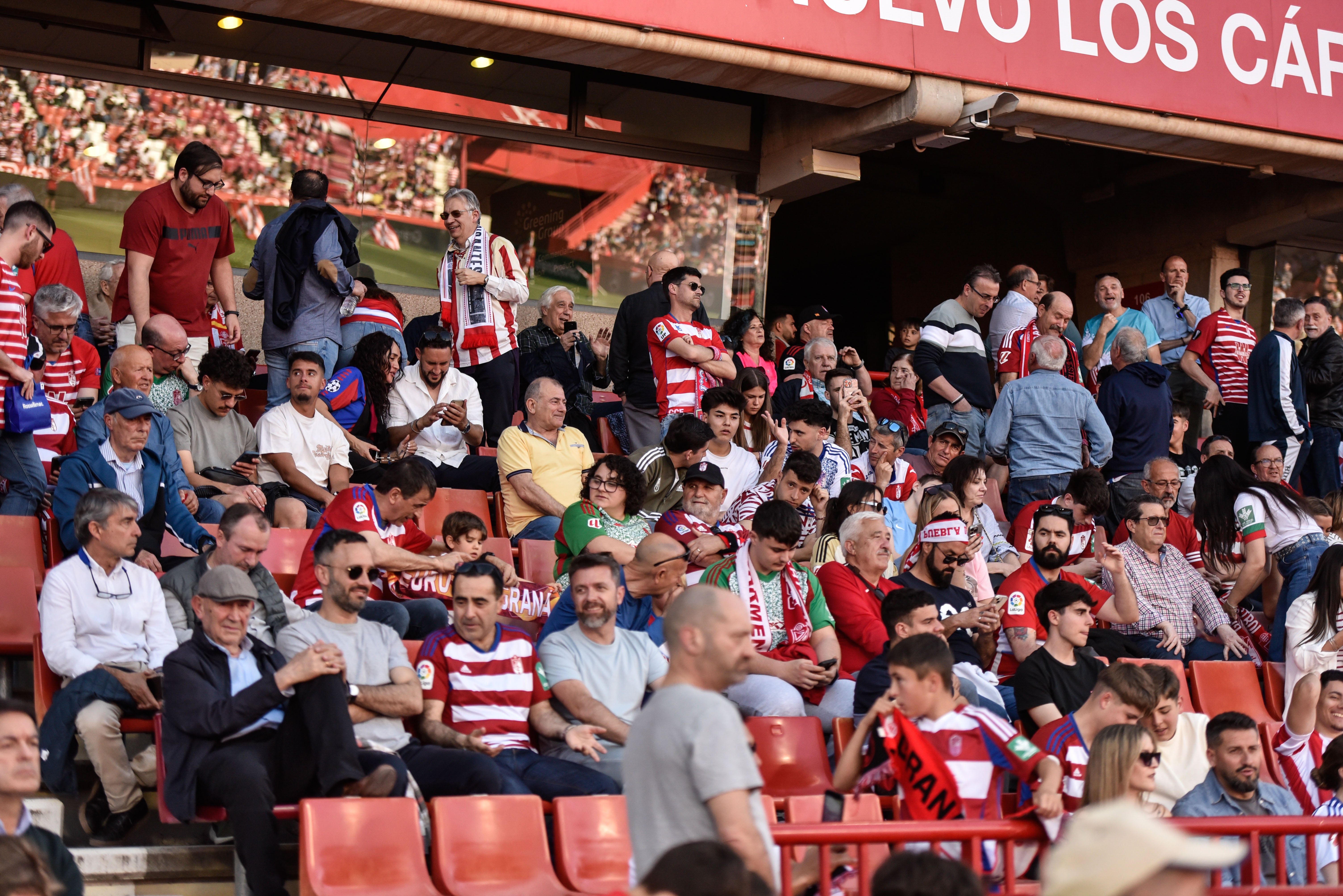 Encuéntrate en Los Cármenes durante el Granada - Elche