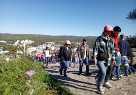 Romeros en la subida al cerro.