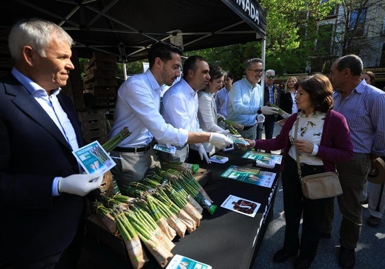 El presidente de la Diputación reparte espárragos verdes en Bib Rambla.