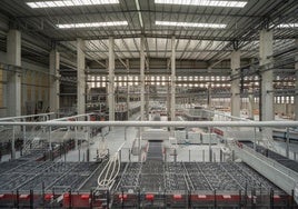 Imagen de una planta agrícola de la provincia de Almería.