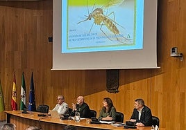 Granada activa la campaña de control de la Fiebre del Nilo Occidental